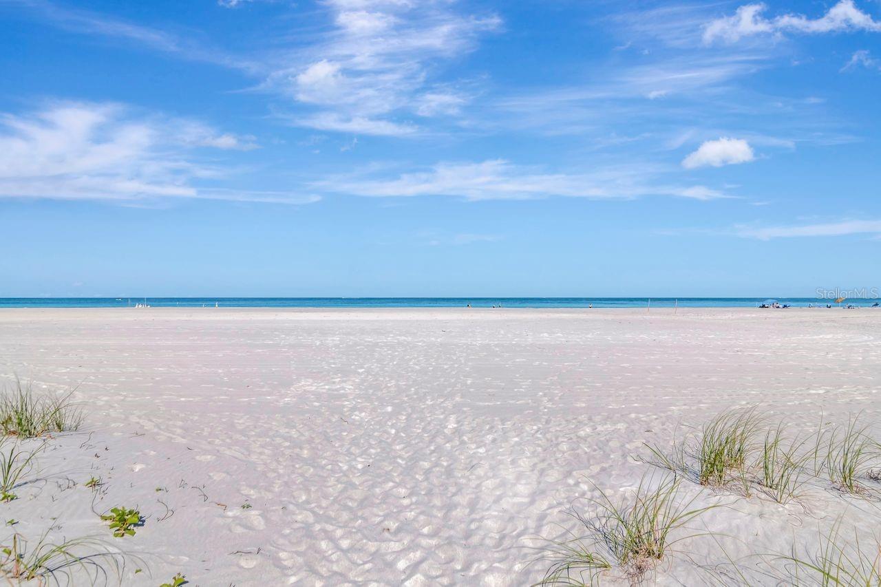 1350 GULF BLVD #301, CLEARWATER BEACH, FL, 33767