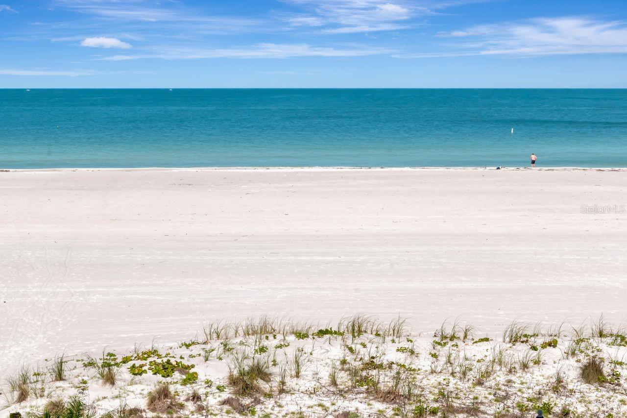 1350 GULF BLVD #301, CLEARWATER BEACH, FL, 33767