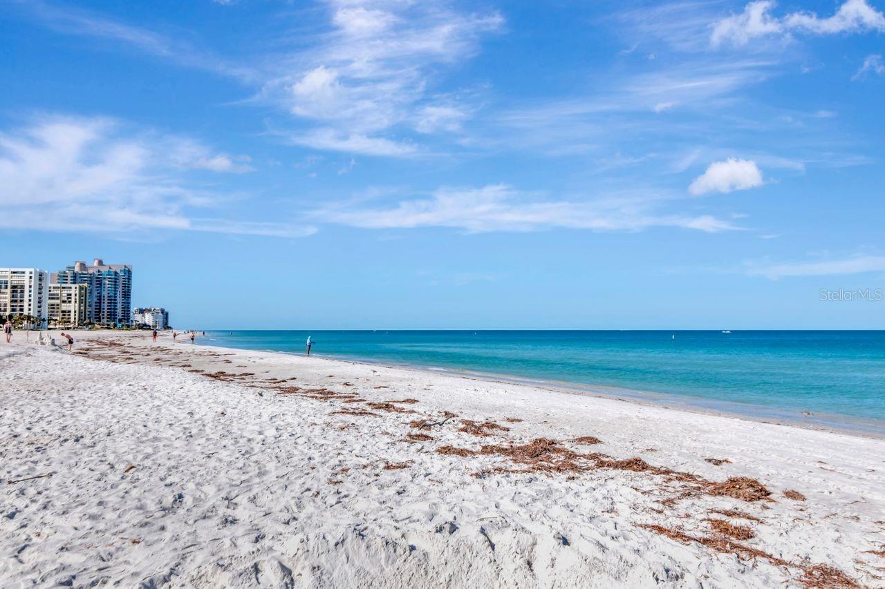 1350 GULF BLVD #301, CLEARWATER BEACH, FL, 33767