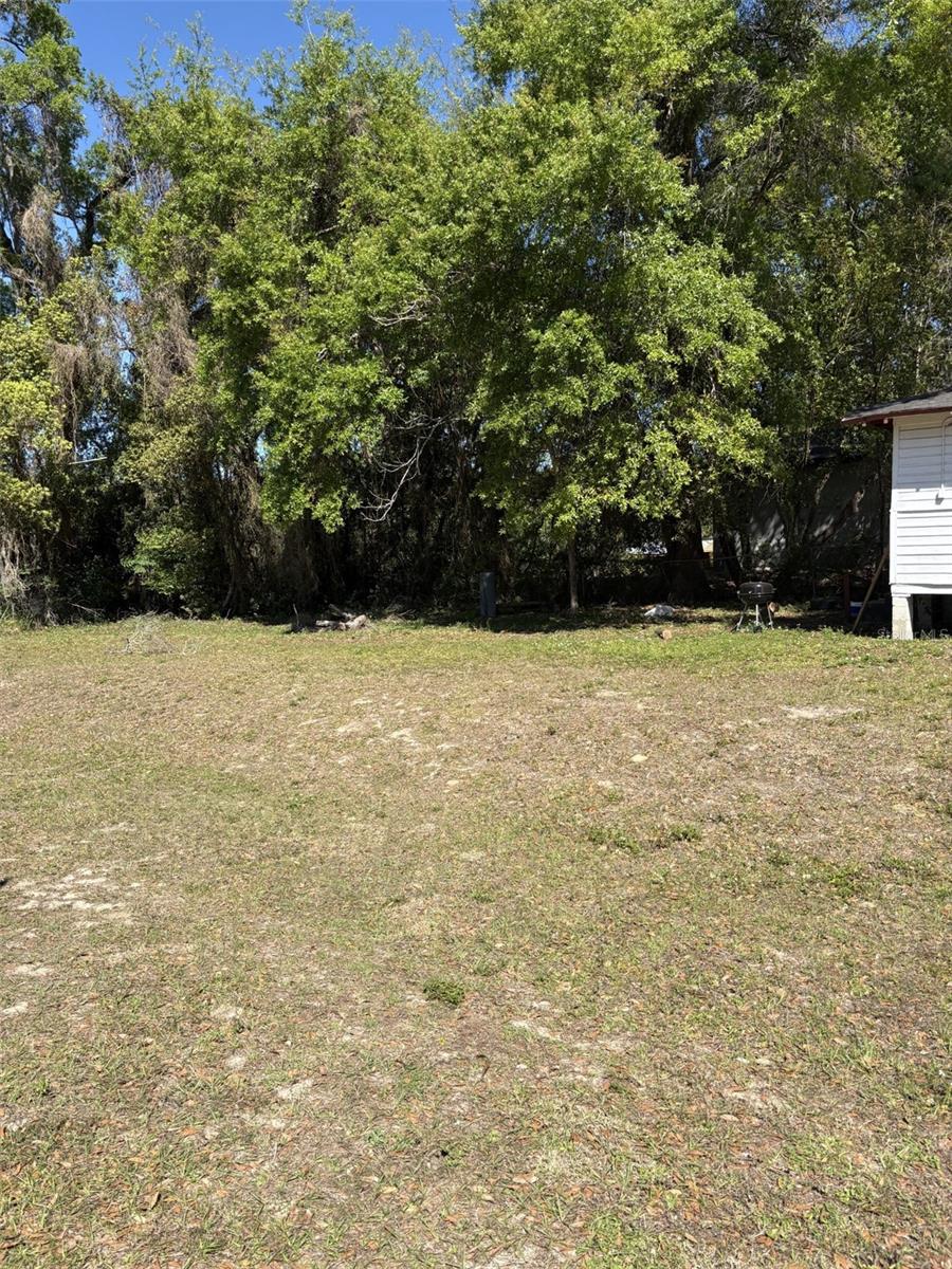 303 E 13TH ST, APOPKA, FL, 32703