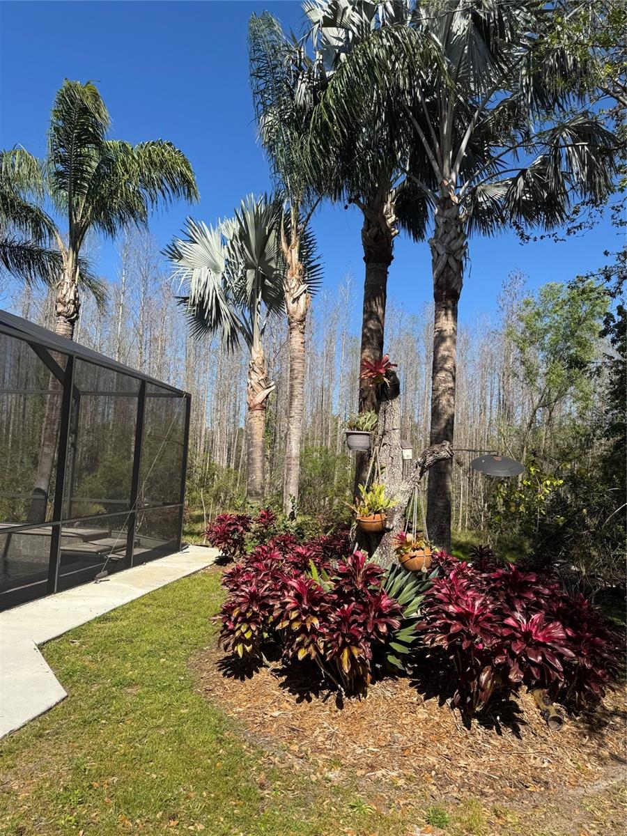 BUCKINGHAM AT TAMPA PALMS, TAMPA, FL, 33647