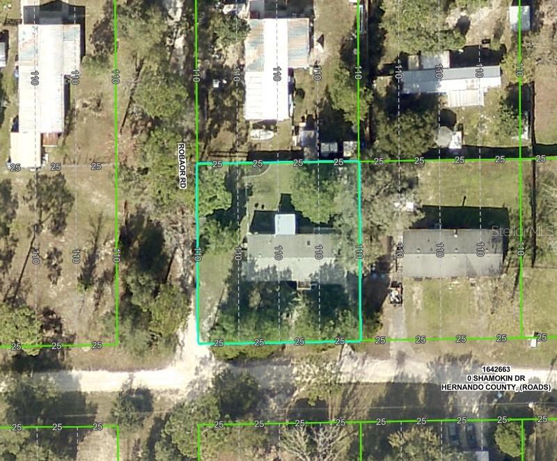 25495 HECKMAN DR, BROOKSVILLE, FL, 34601