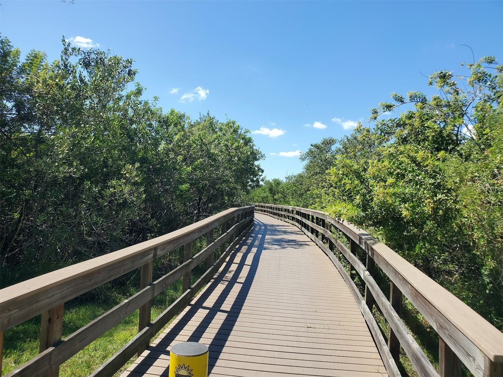 611 LIMETREE DR, OLDSMAR, FL, 34677