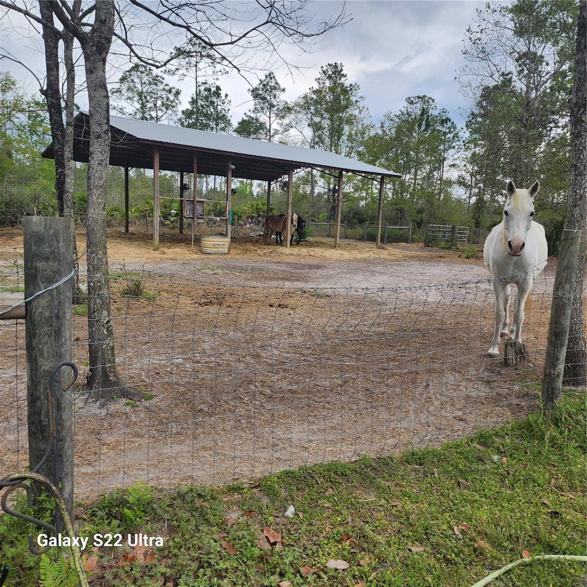 117 SUWANEE HUNTING CLUB RD, PALATKA, FL, 32177
