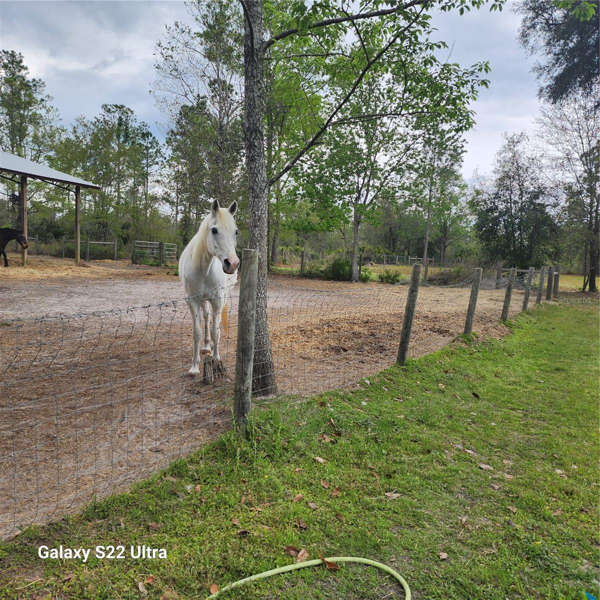 117 SUWANEE HUNTING CLUB RD, PALATKA, FL, 32177