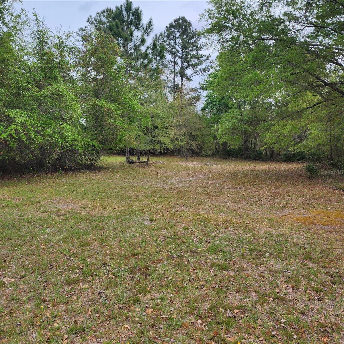 117 SUWANEE HUNTING CLUB RD, PALATKA, FL, 32177