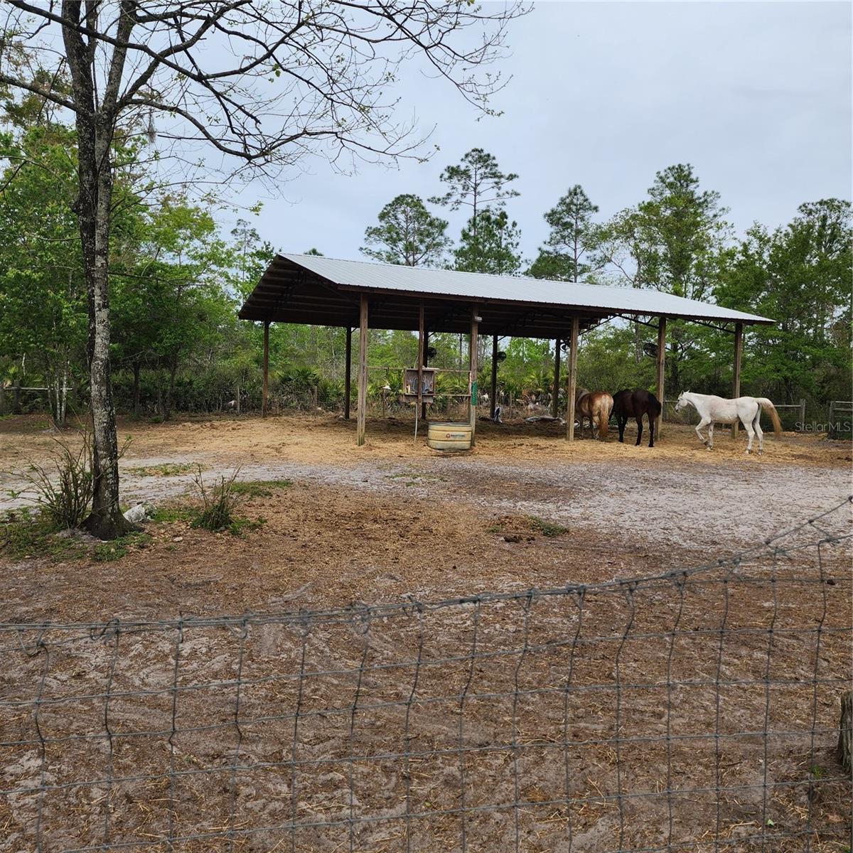117 SUWANEE HUNTING CLUB RD, PALATKA, FL, 32177