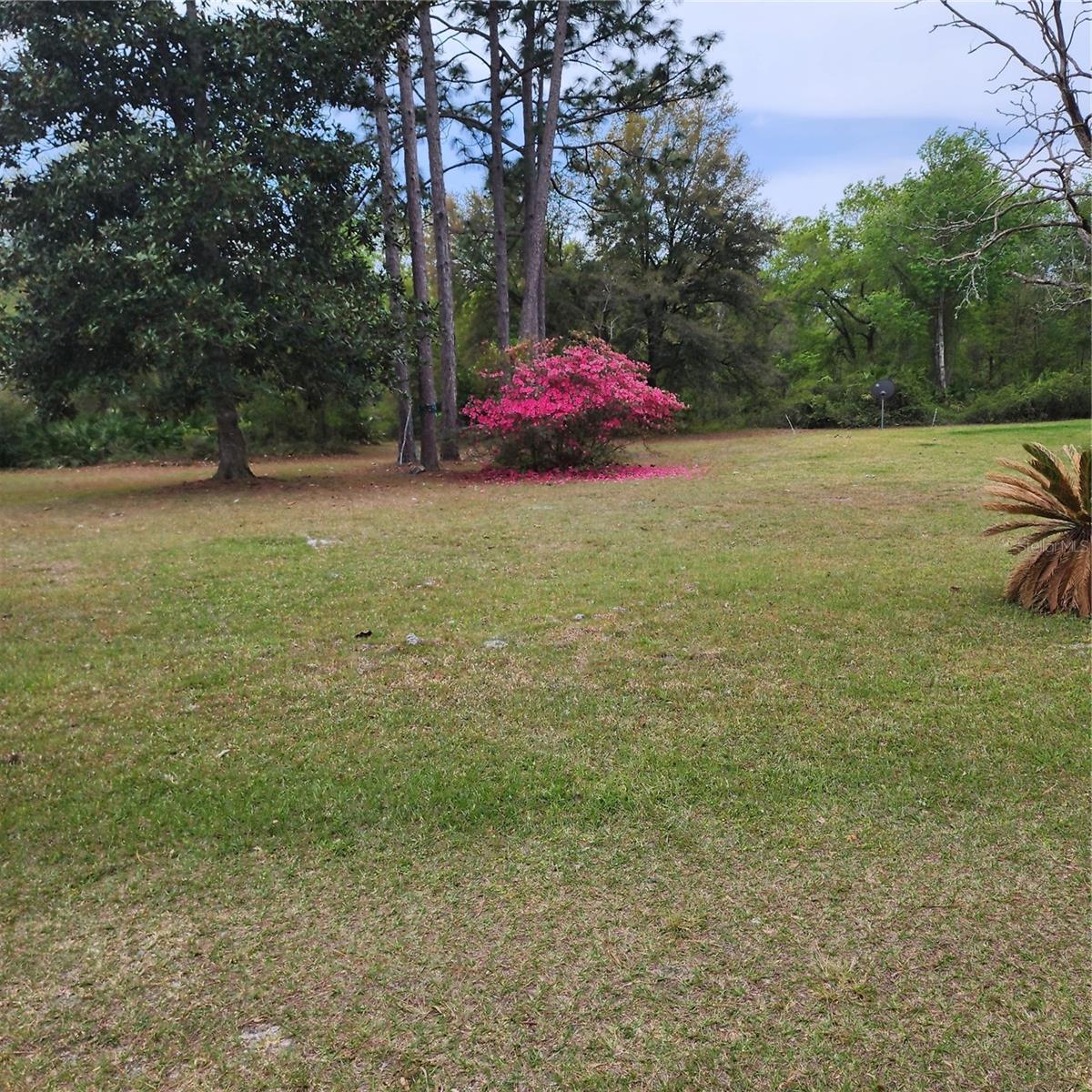 117 SUWANEE HUNTING CLUB RD, PALATKA, FL, 32177