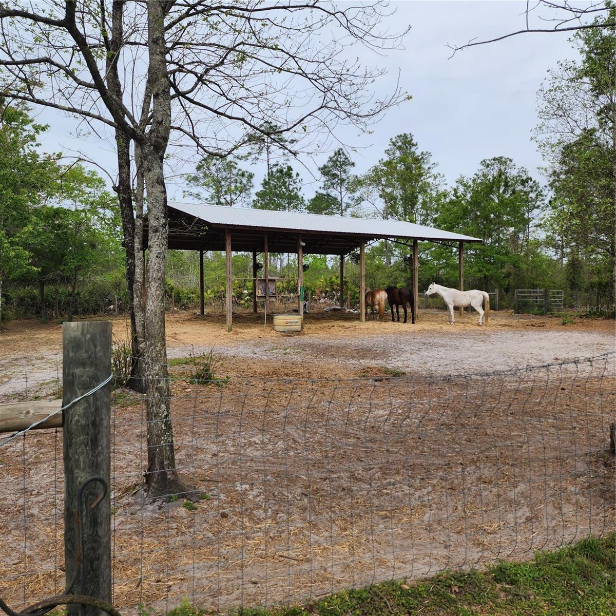 117 SUWANEE HUNTING CLUB RD, PALATKA, FL, 32177