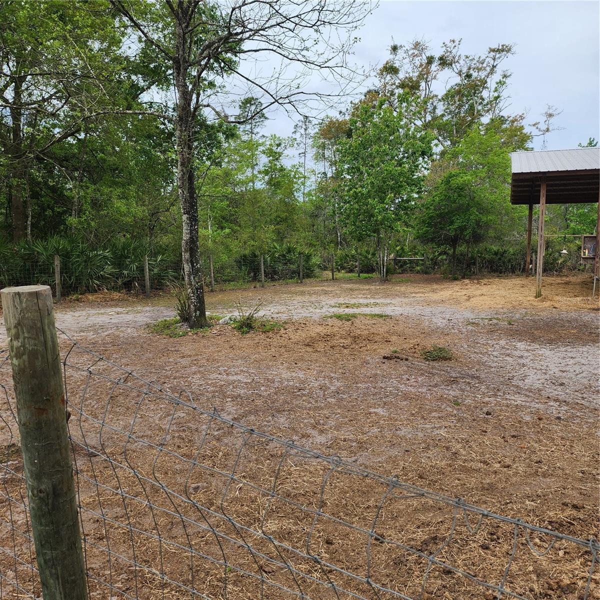 117 SUWANEE HUNTING CLUB RD, PALATKA, FL, 32177
