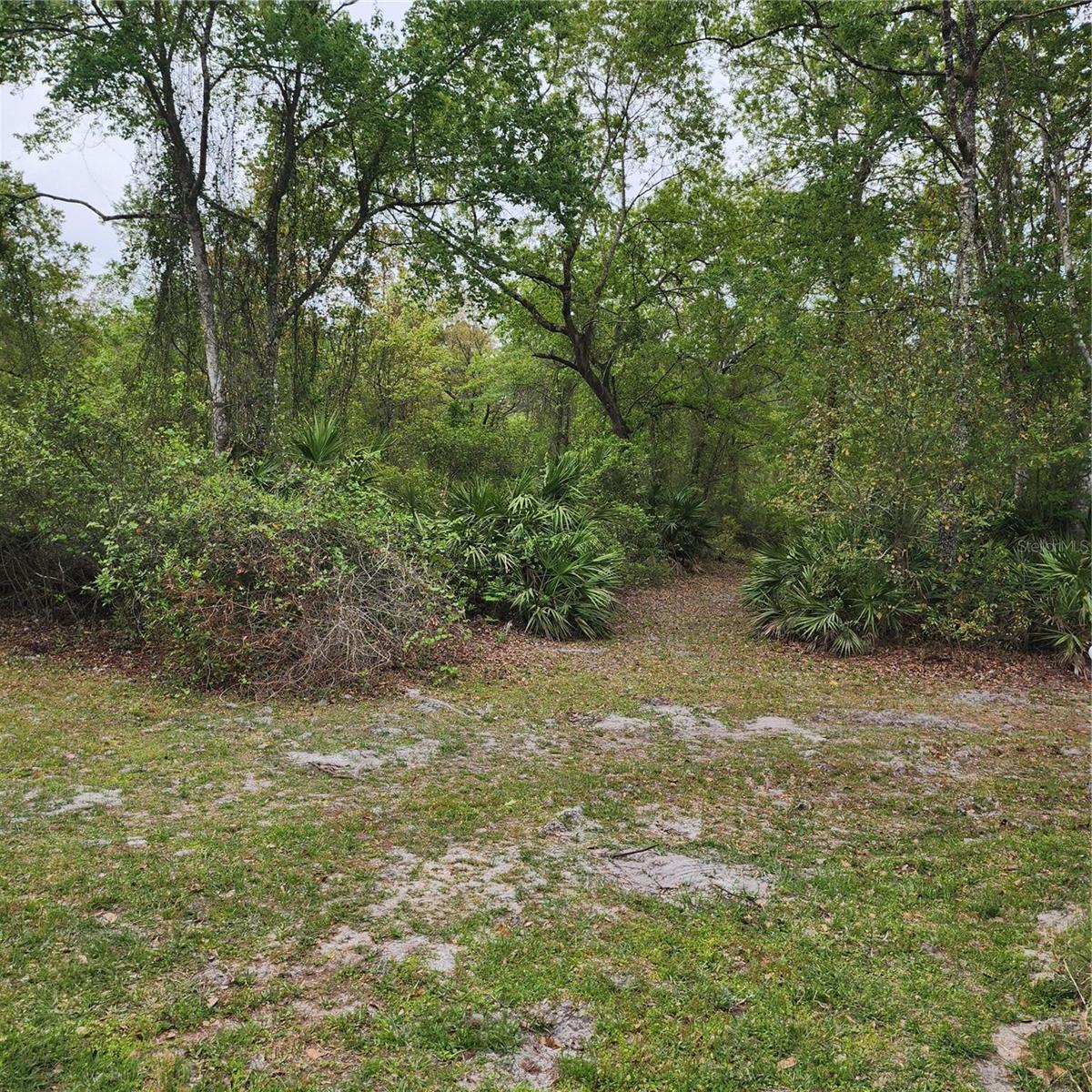 117 SUWANEE HUNTING CLUB RD, PALATKA, FL, 32177