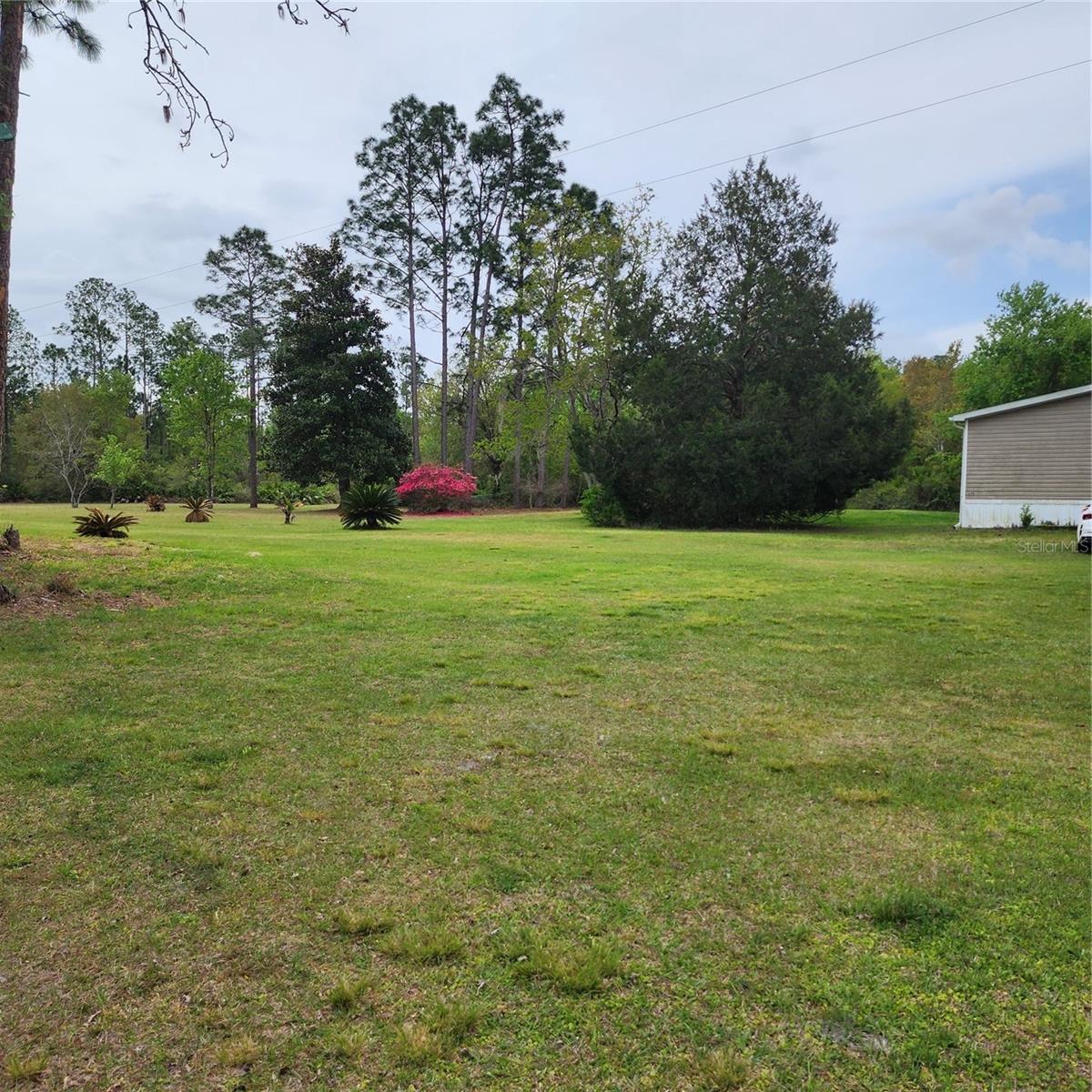 117 SUWANEE HUNTING CLUB RD, PALATKA, FL, 32177