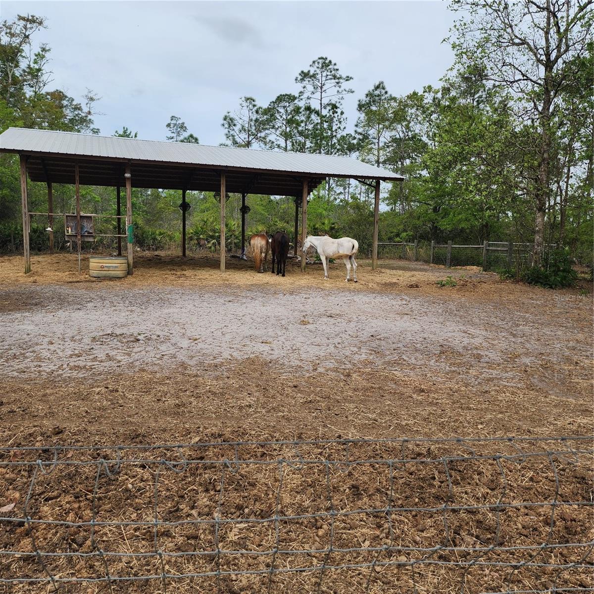 117 SUWANEE HUNTING CLUB RD, PALATKA, FL, 32177