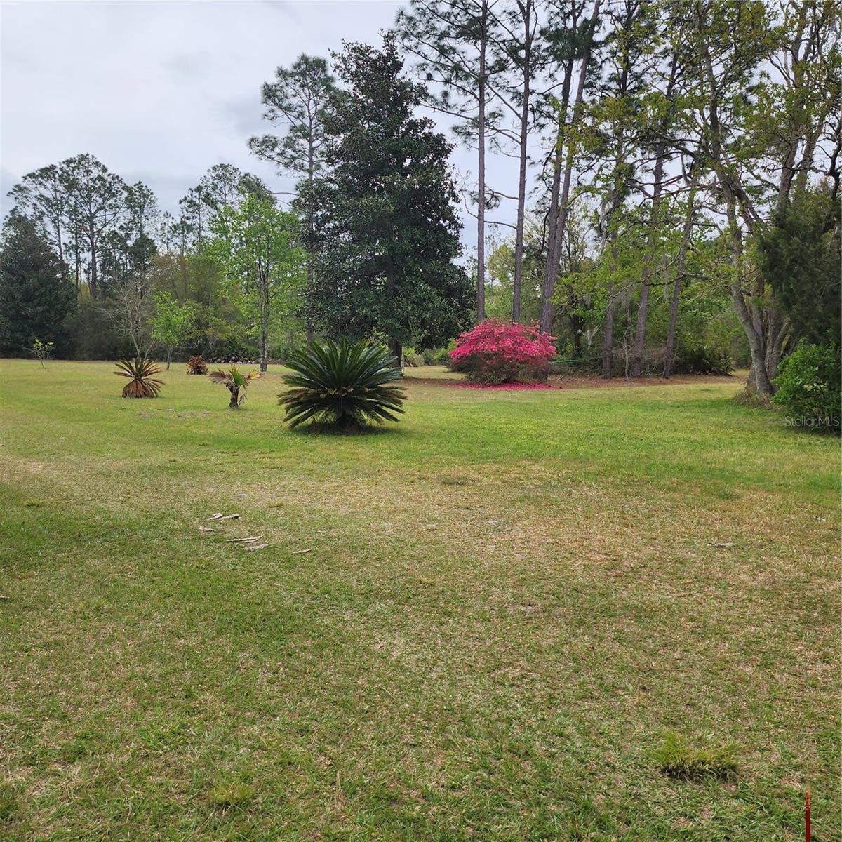 117 SUWANEE HUNTING CLUB RD, PALATKA, FL, 32177
