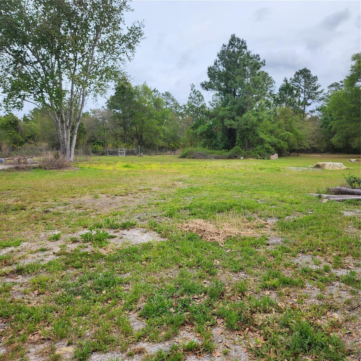 117 SUWANEE HUNTING CLUB RD, PALATKA, FL, 32177