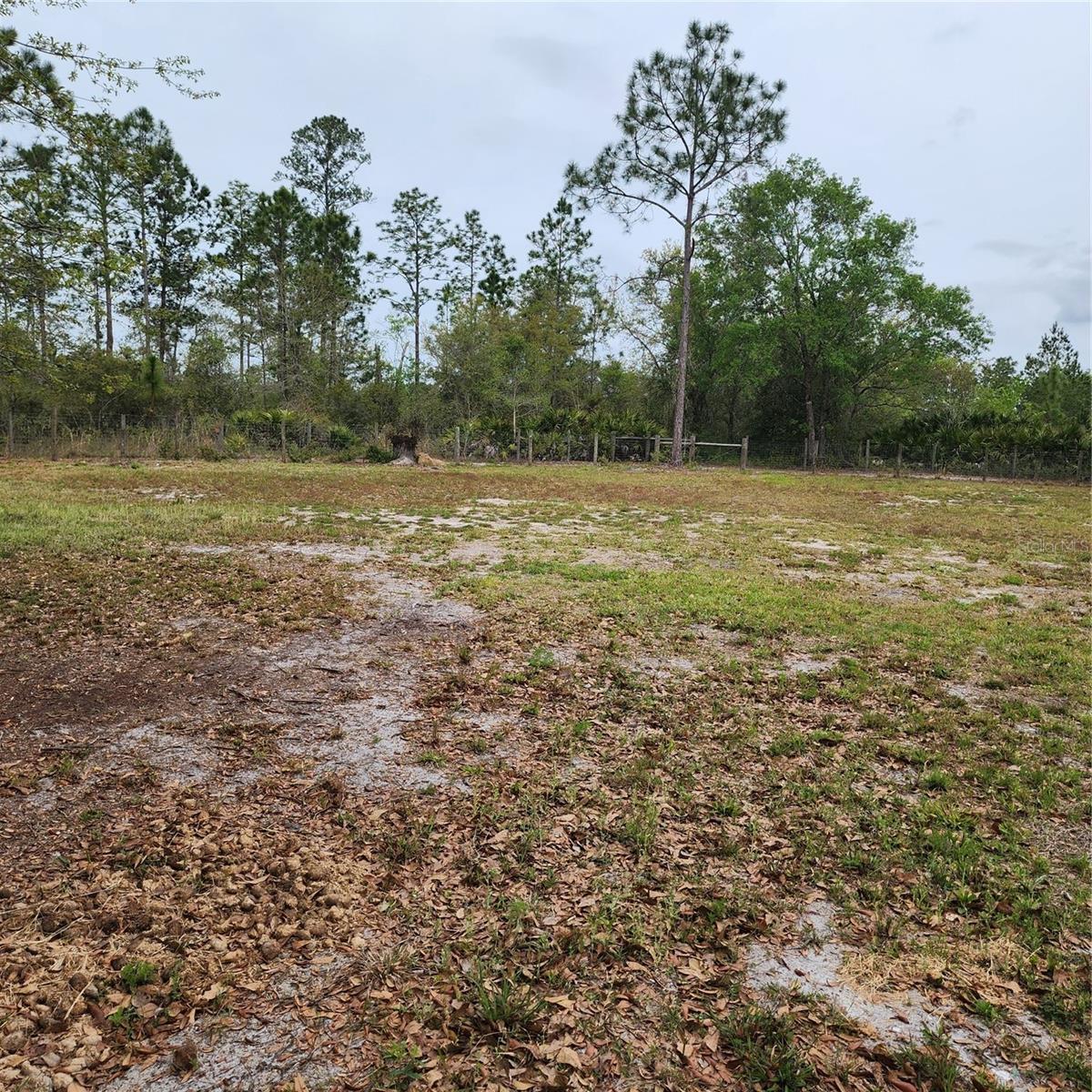 117 SUWANEE HUNTING CLUB RD, PALATKA, FL, 32177