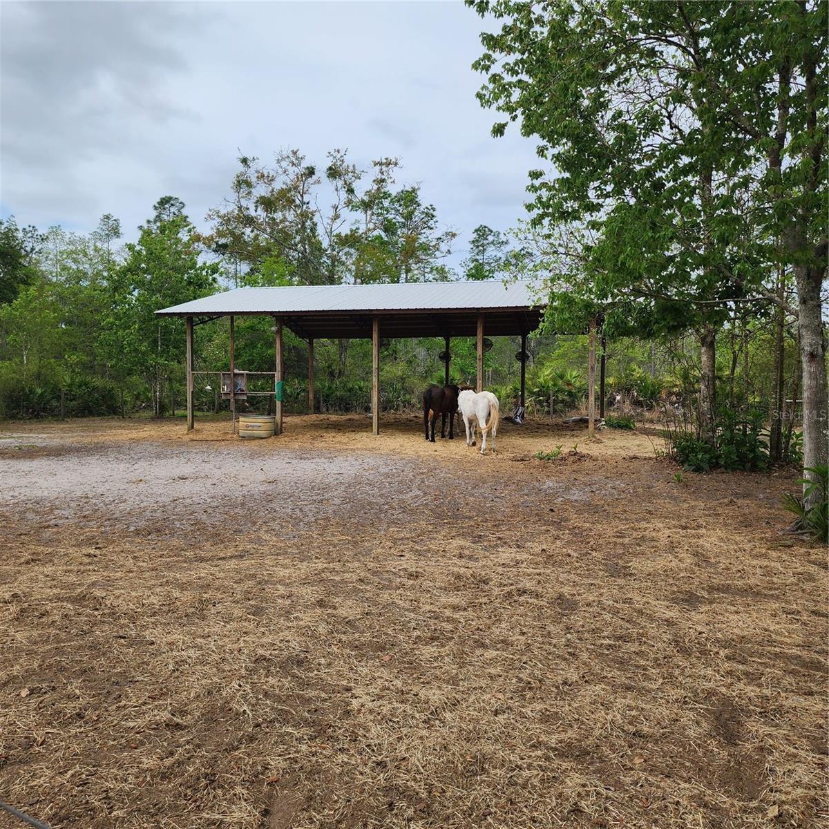 117 SUWANEE HUNTING CLUB RD, PALATKA, FL, 32177