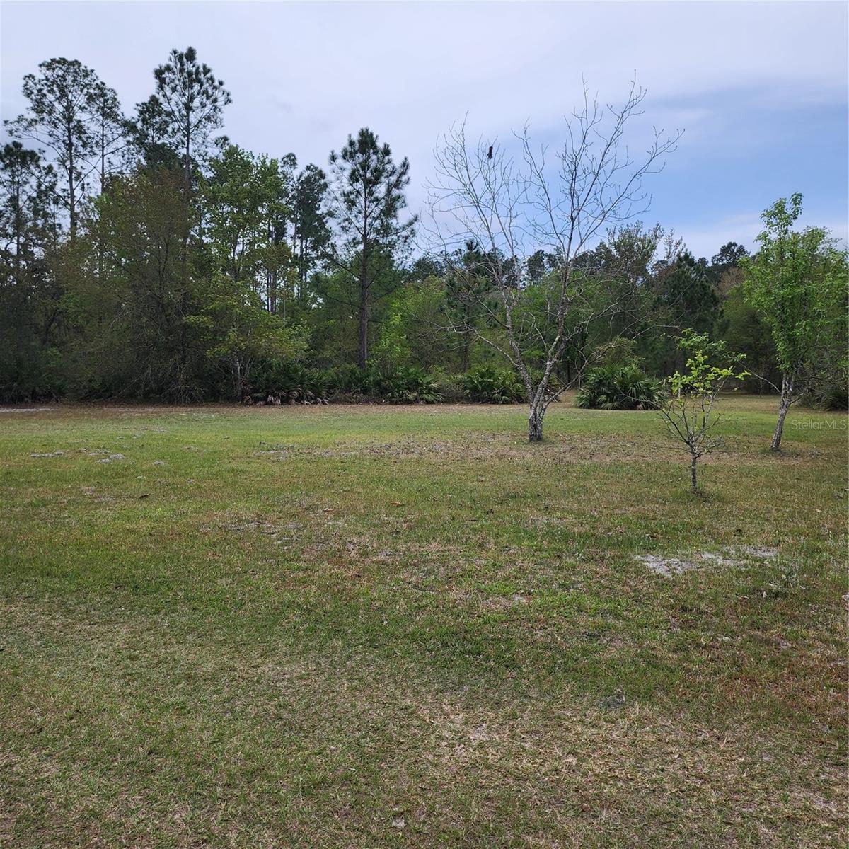 117 SUWANEE HUNTING CLUB RD, PALATKA, FL, 32177
