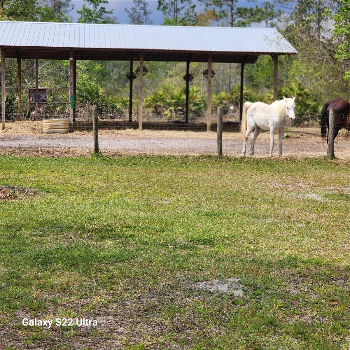 117 SUWANEE HUNTING CLUB RD, PALATKA, FL, 32177