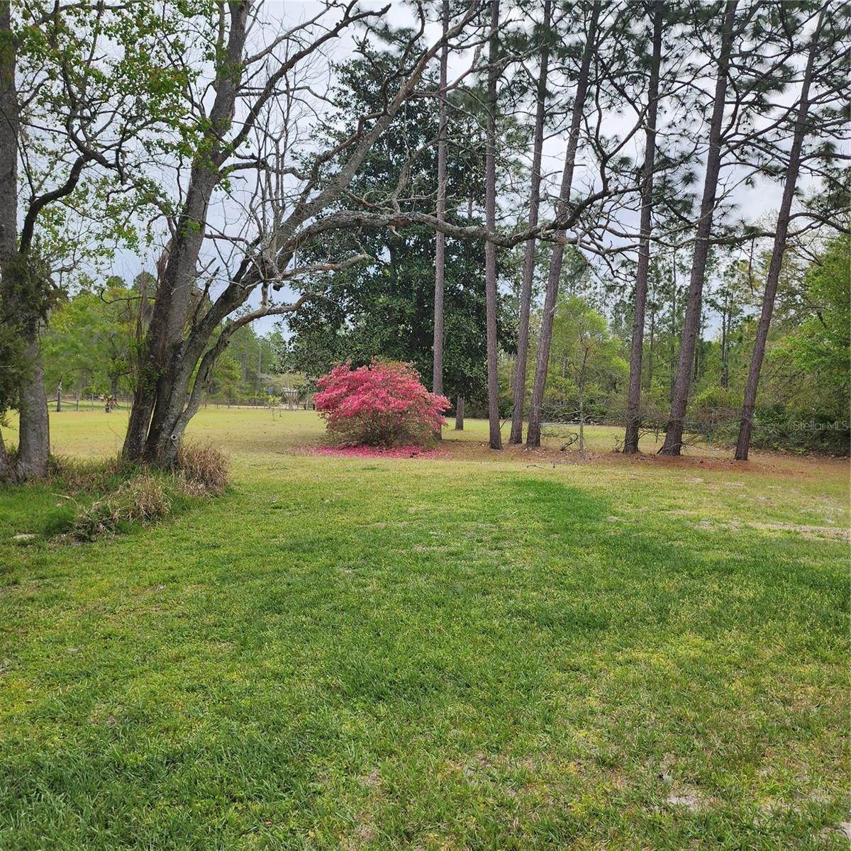 117 SUWANEE HUNTING CLUB RD, PALATKA, FL, 32177