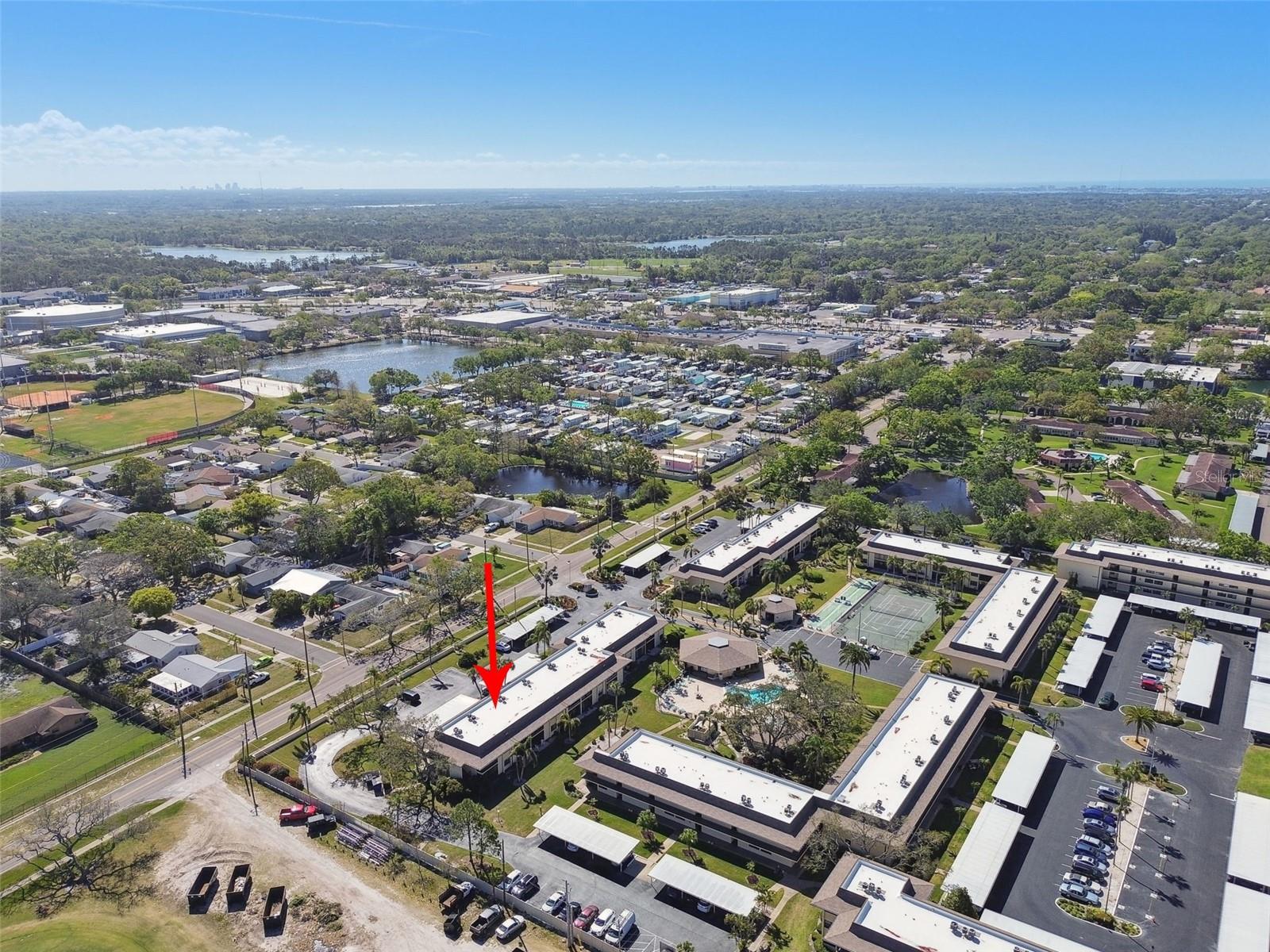 12300 VONN RD #2204, LARGO, FL, 33774