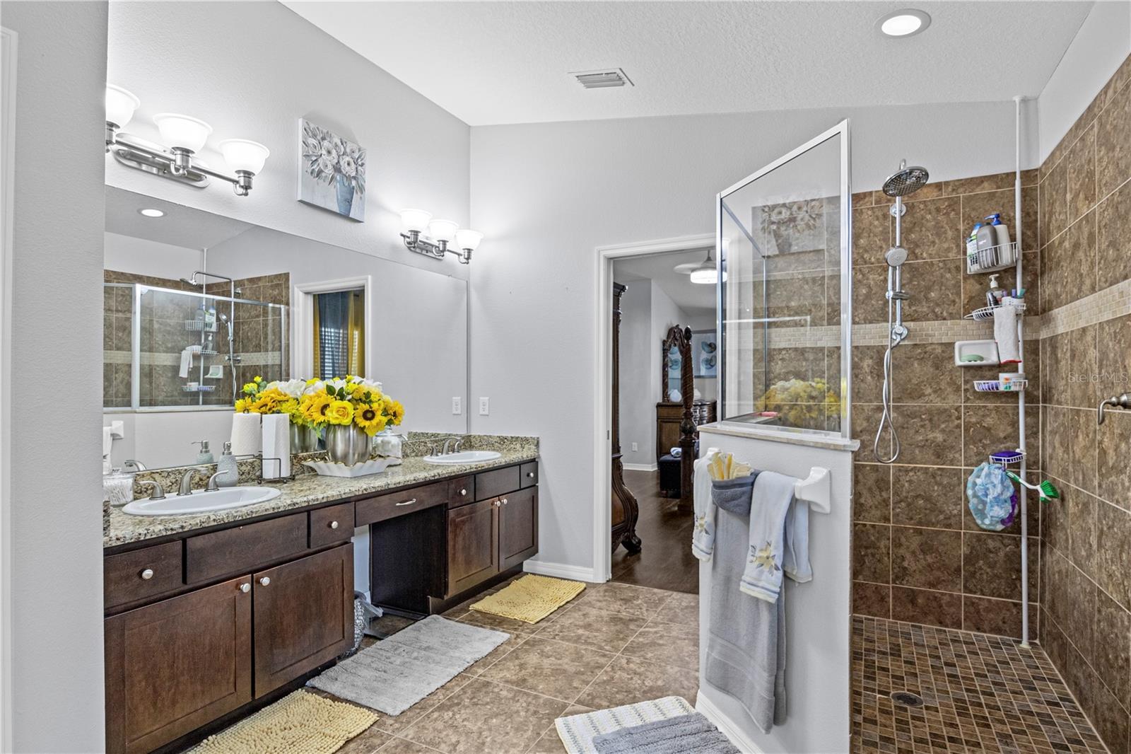 19214 EARLY VIOLET DR NE, TAMPA, FL, 33647