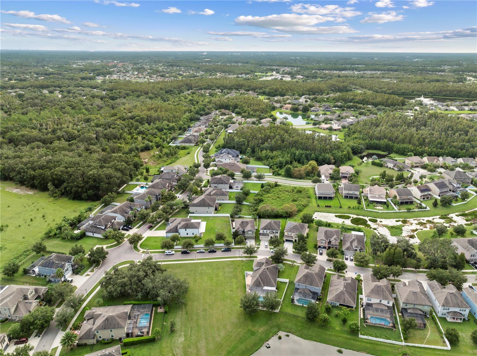 19214 EARLY VIOLET DR NE, TAMPA, FL, 33647