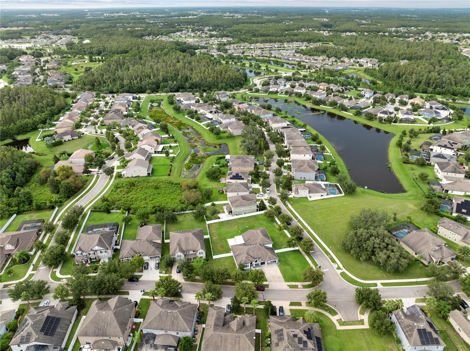 19214 EARLY VIOLET DR NE, TAMPA, FL, 33647