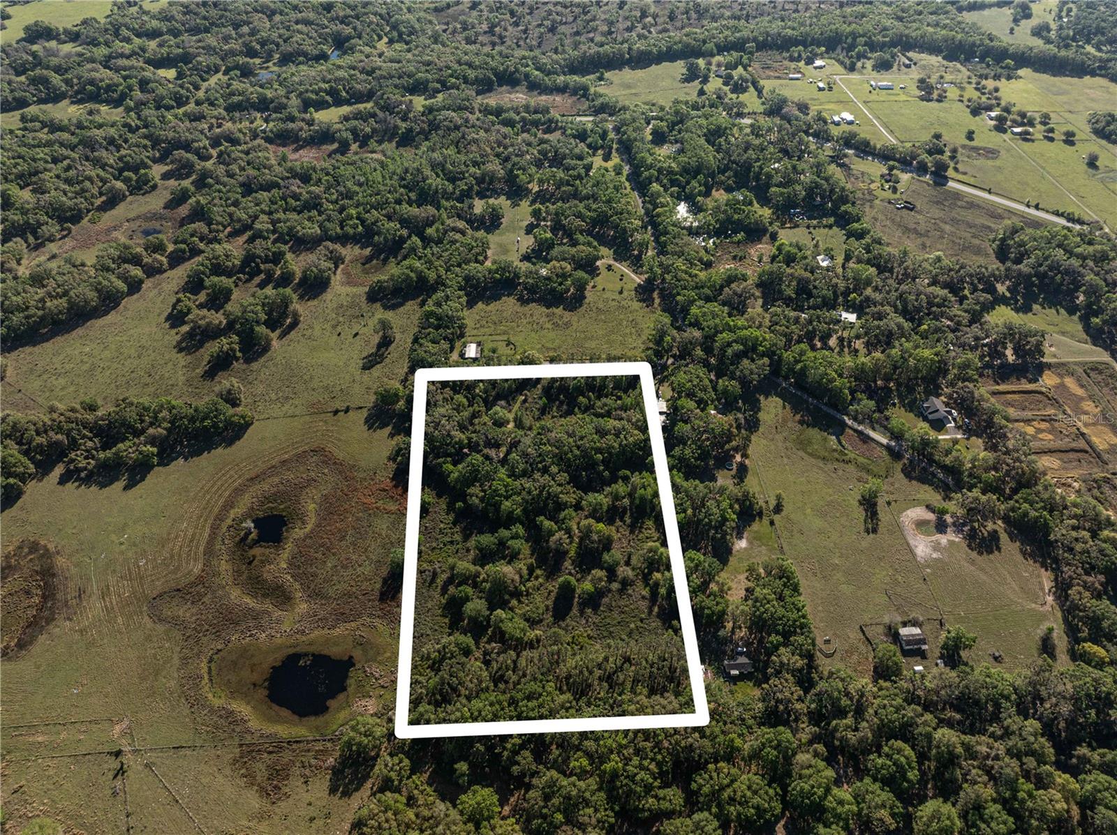 9278/9265 CR 734, CENTER HILL, FL, 33514