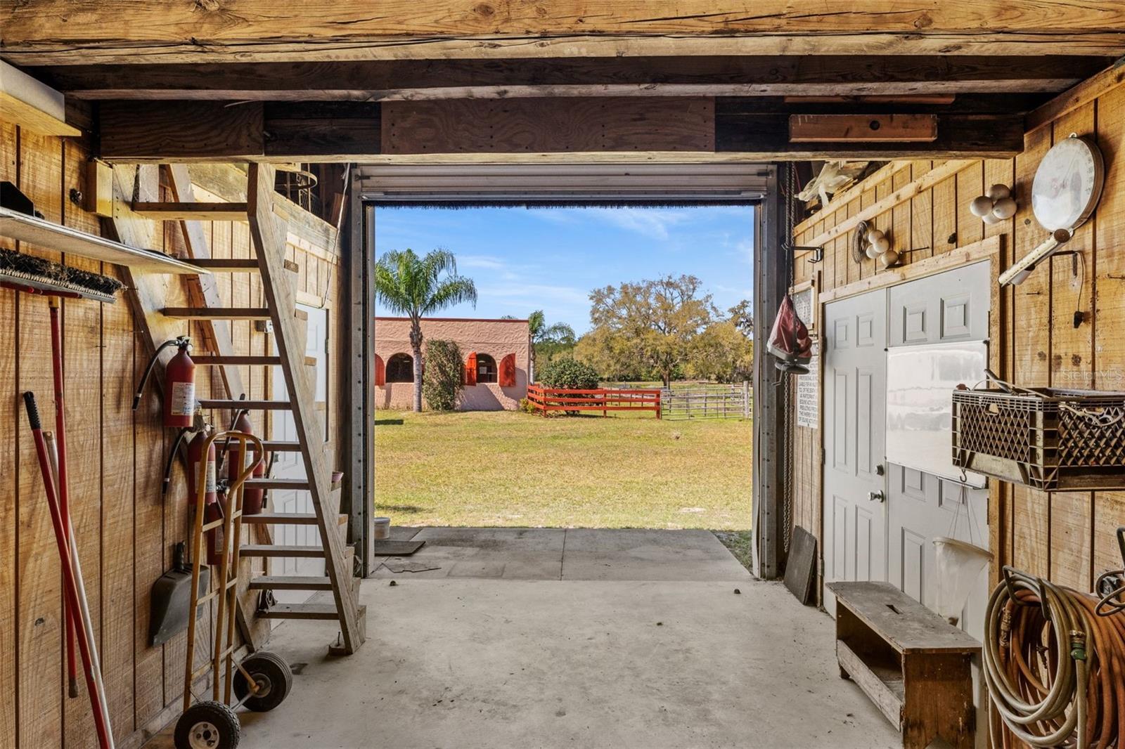 32640 WEBBS WAY, SORRENTO, FL, 32776