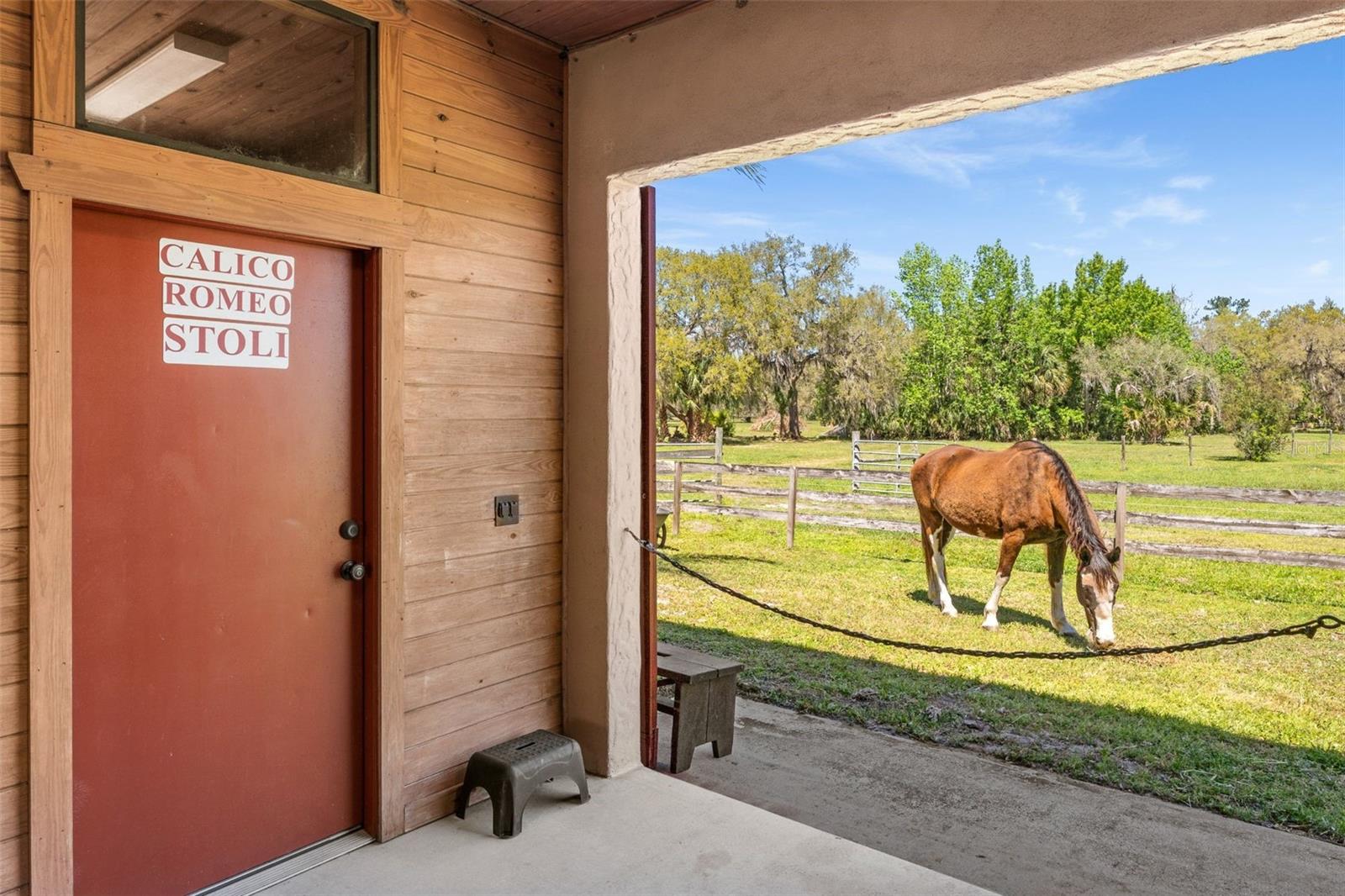 32640 WEBBS WAY, SORRENTO, FL, 32776