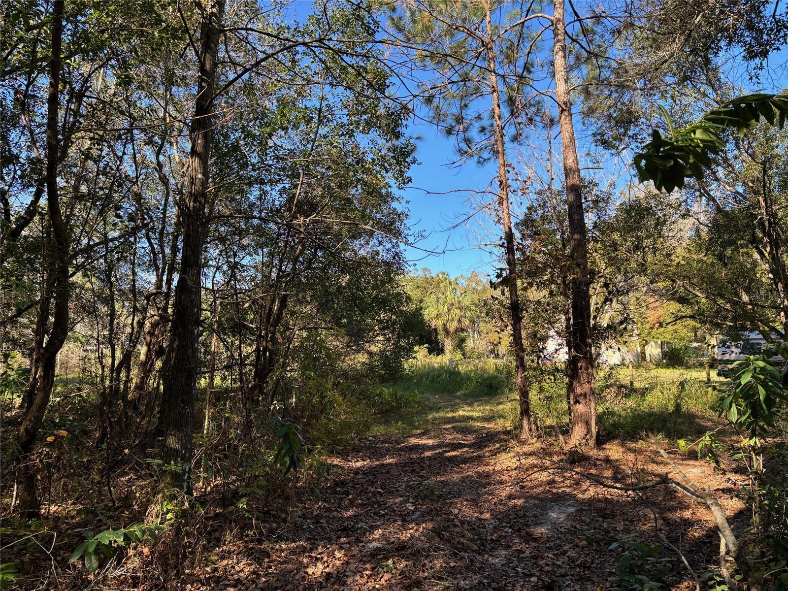 1.98 Acres SAWDUST LN, BROOKSVILLE, FL, 34601