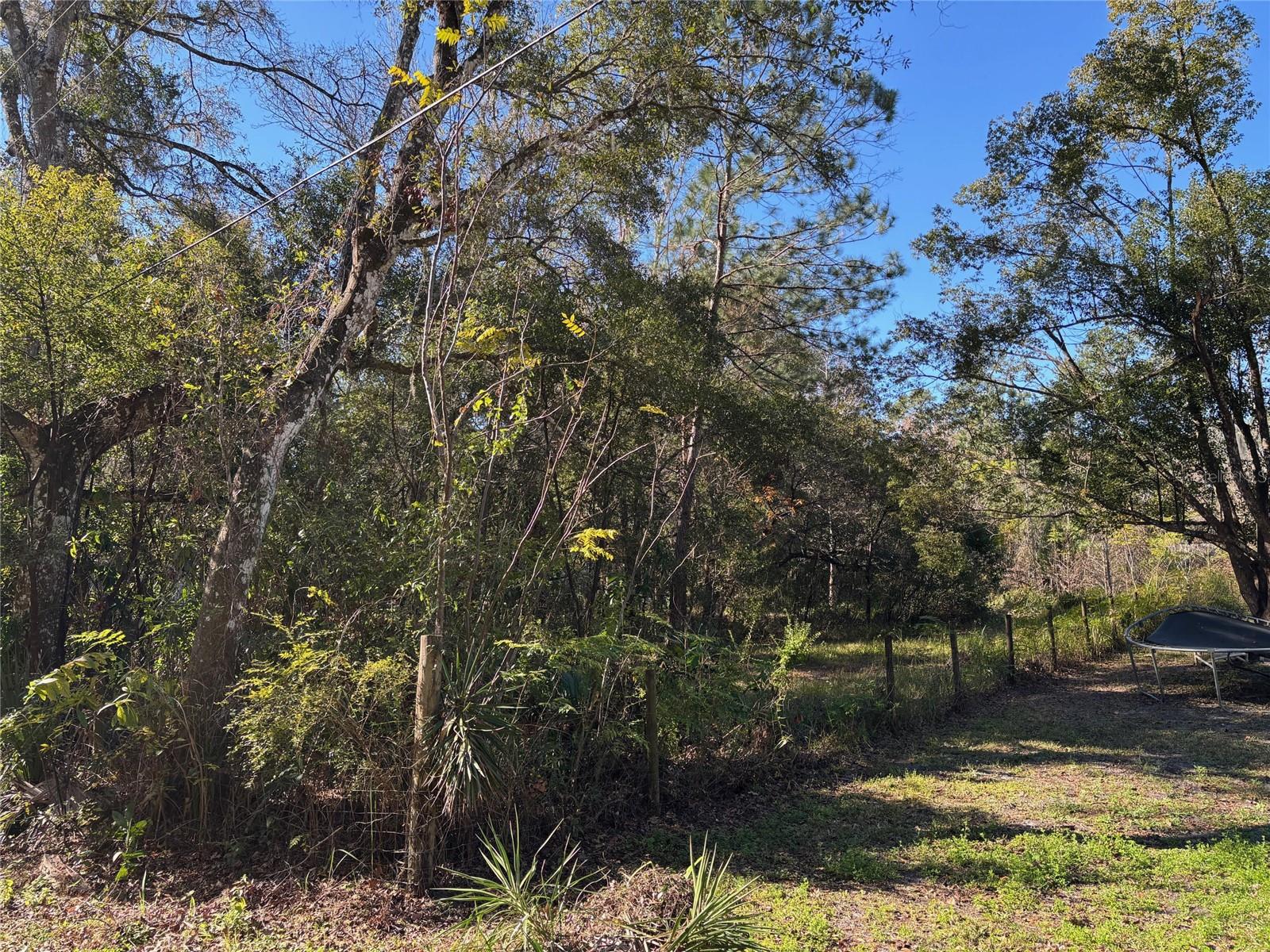 1.98 Acres SAWDUST LN, BROOKSVILLE, FL, 34601