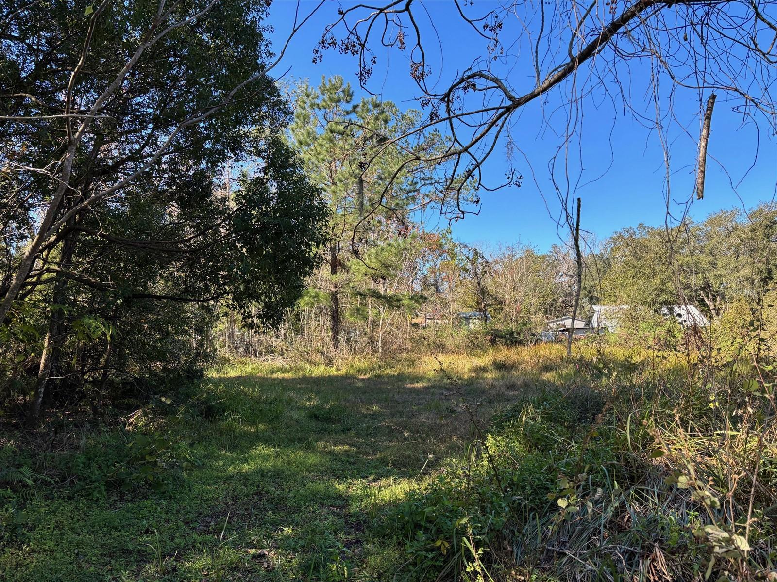 1.98 Acres SAWDUST LN, BROOKSVILLE, FL, 34601