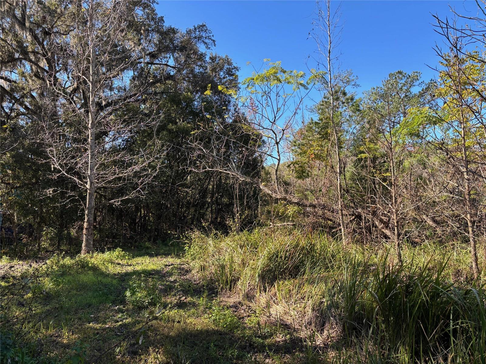 1.98 Acres SAWDUST LN, BROOKSVILLE, FL, 34601