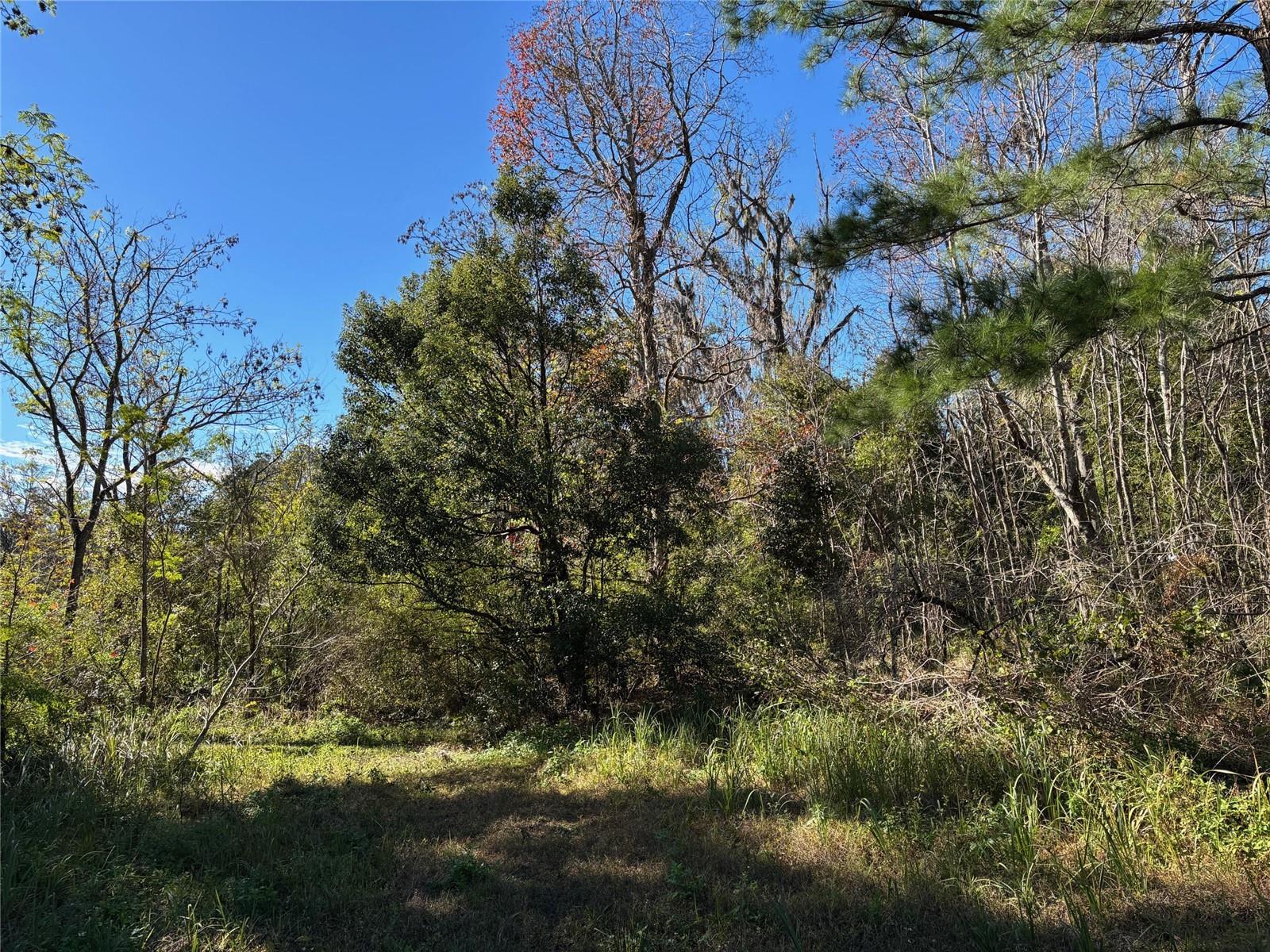 1.98 Acres SAWDUST LN, BROOKSVILLE, FL, 34601