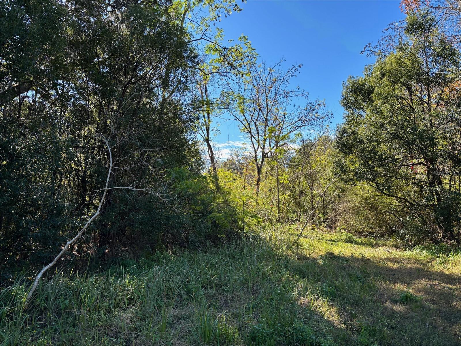 1.98 Acres SAWDUST LN, BROOKSVILLE, FL, 34601
