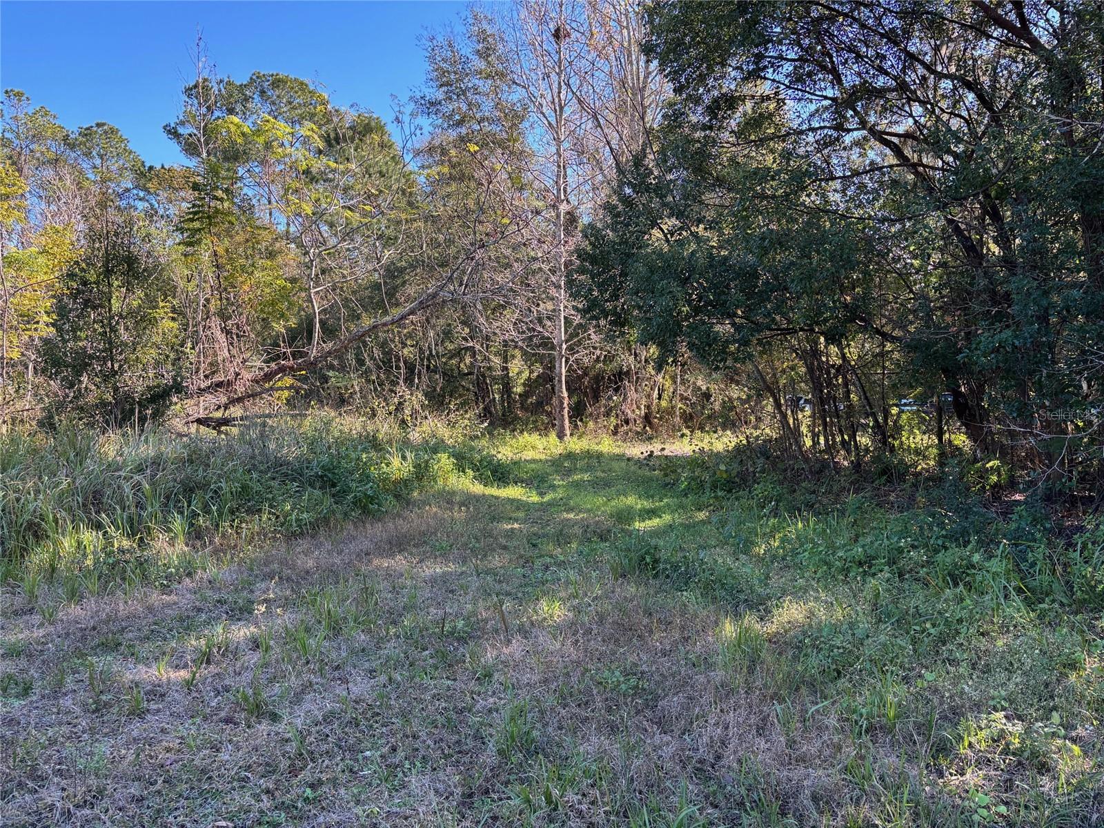 1.98 Acres SAWDUST LN, BROOKSVILLE, FL, 34601