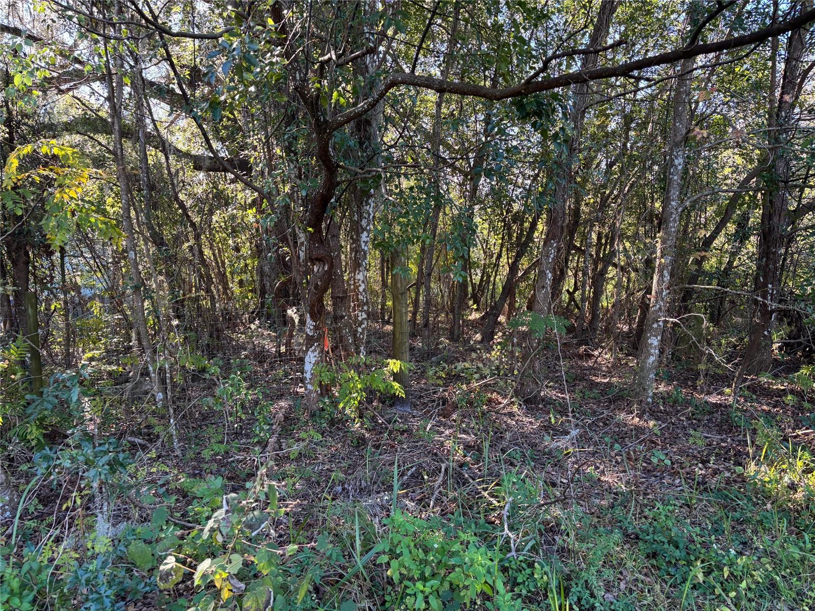 1.98 Acres SAWDUST LN, BROOKSVILLE, FL, 34601