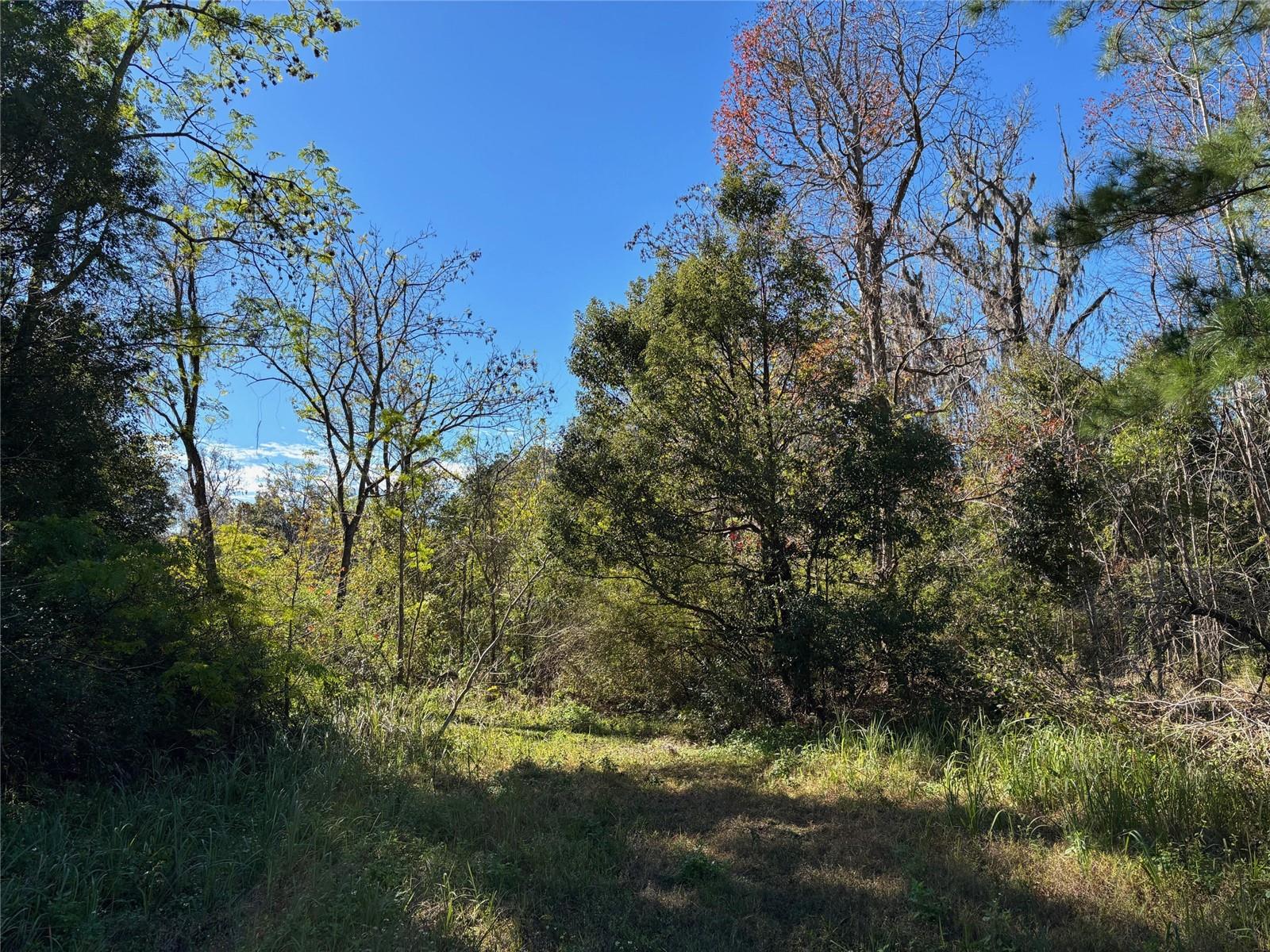1.98 Acres SAWDUST LN, BROOKSVILLE, FL, 34601