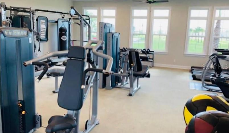 14050 ARBOR PINES DR, RIVERVIEW, FL, 33579