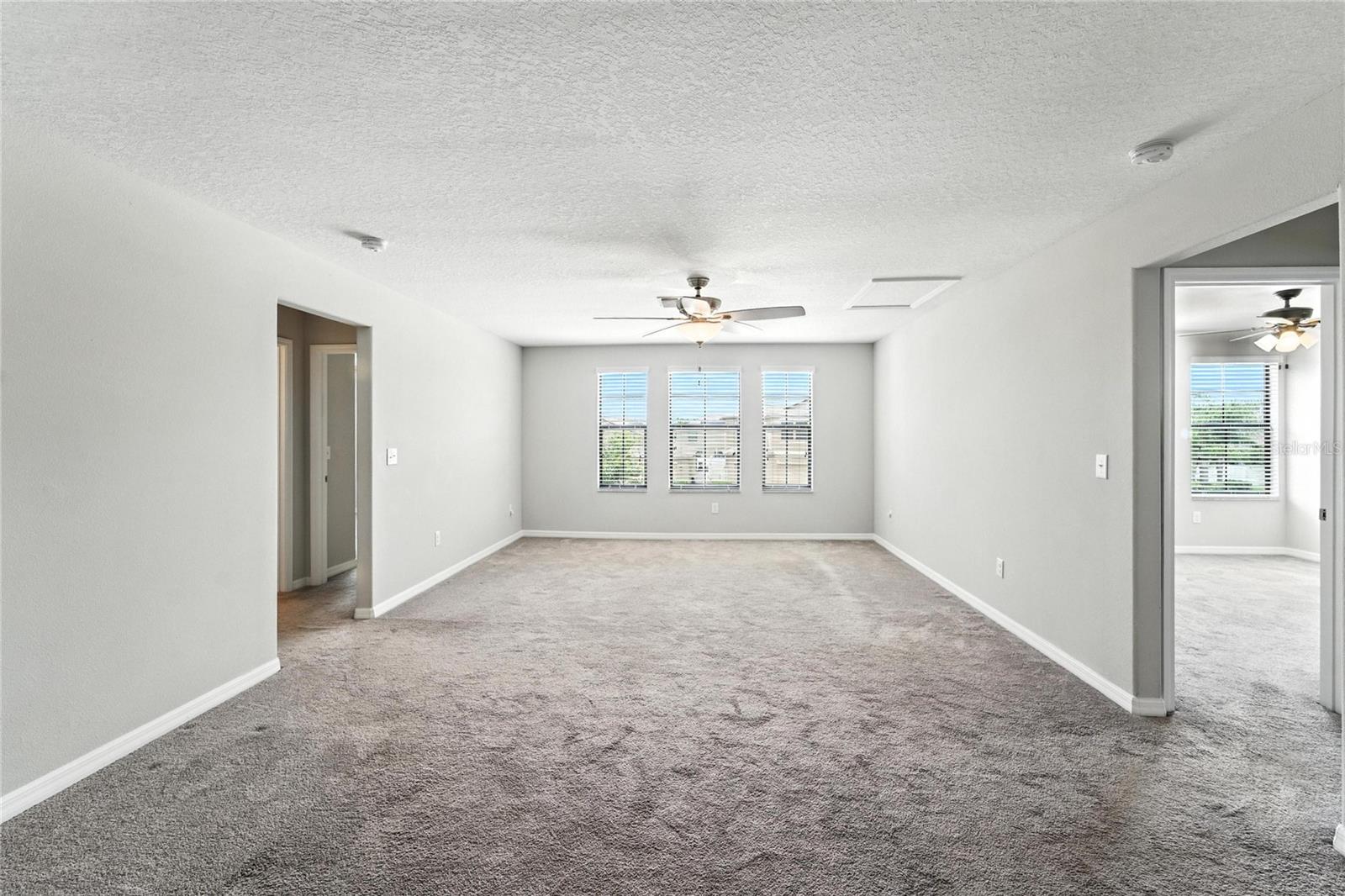 14050 ARBOR PINES DR, RIVERVIEW, FL, 33579