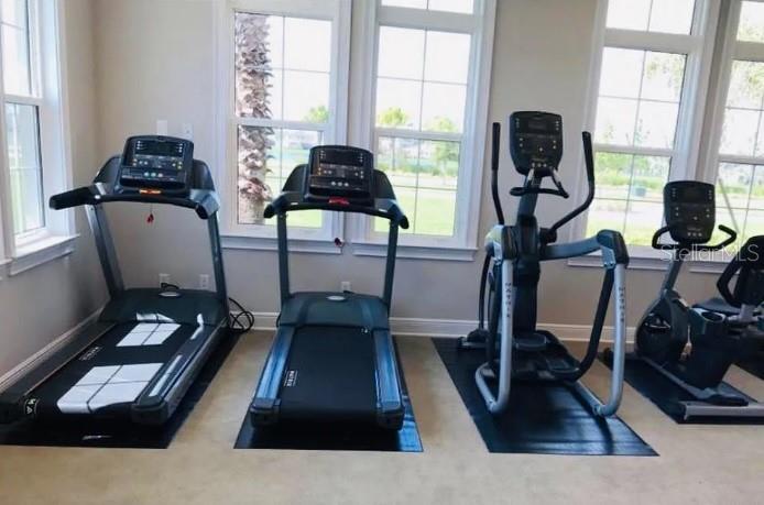 14050 ARBOR PINES DR, RIVERVIEW, FL, 33579