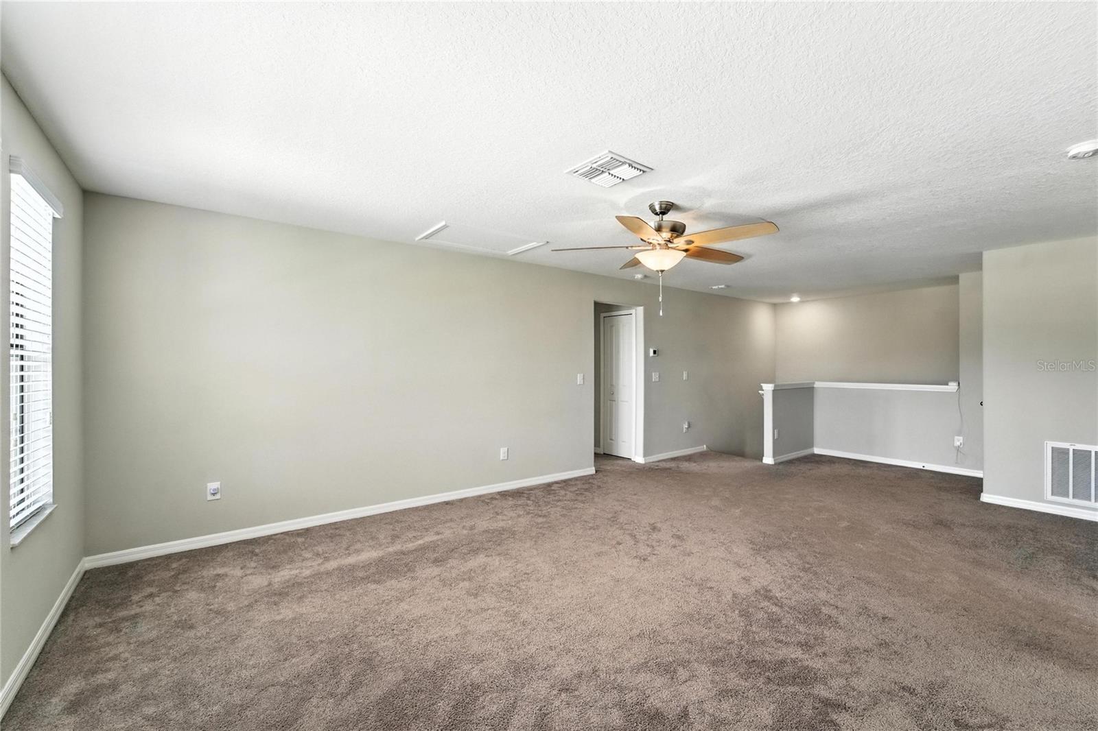 14050 ARBOR PINES DR, RIVERVIEW, FL, 33579