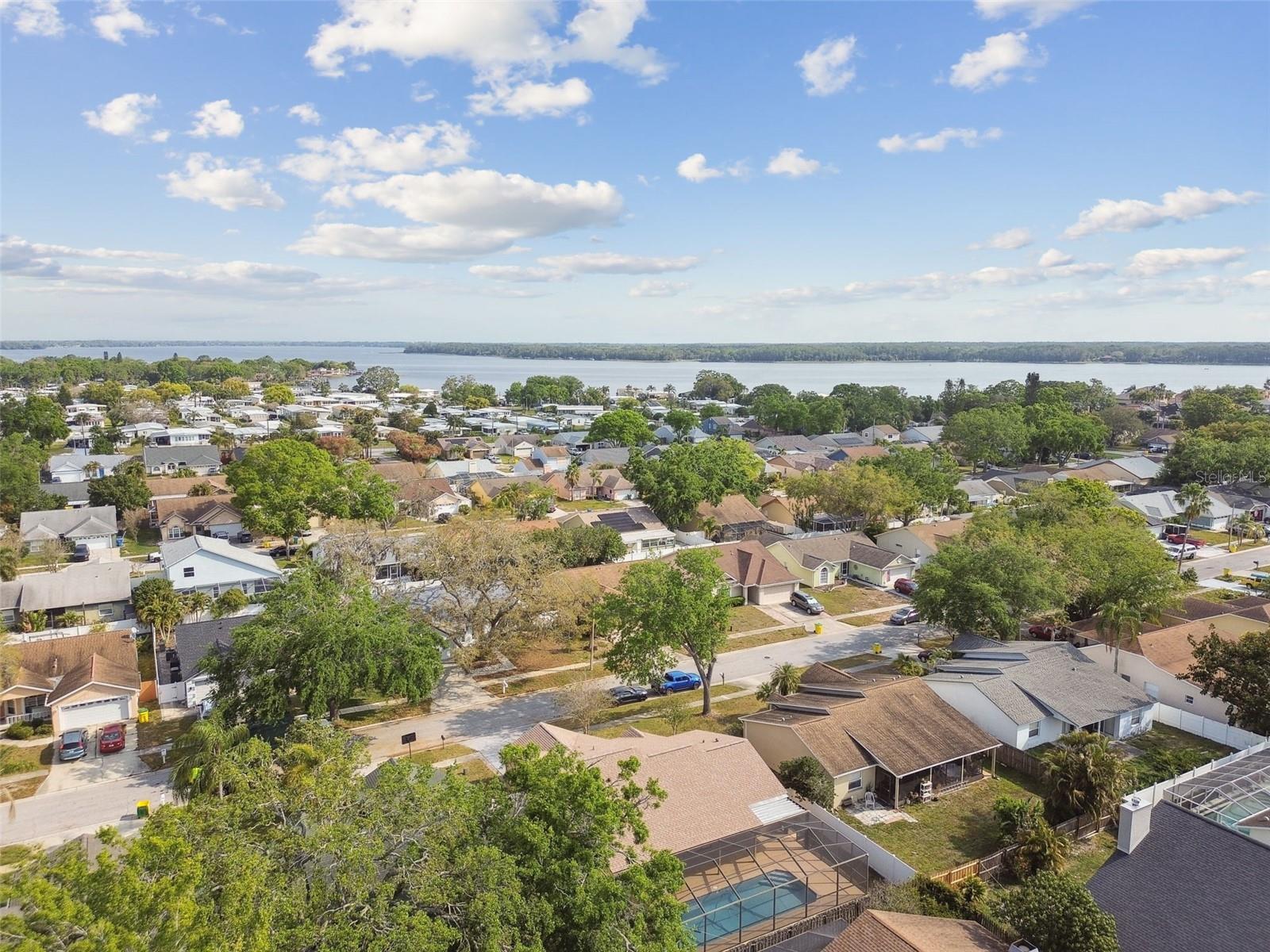2974 SEAN WAY, PALM HARBOR, FL, 34684