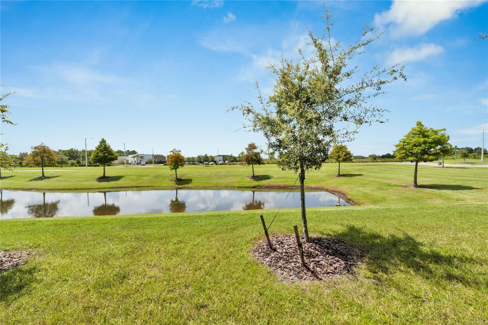 1967 HOVENWEEP RD, WESLEY CHAPEL, FL, 33543
