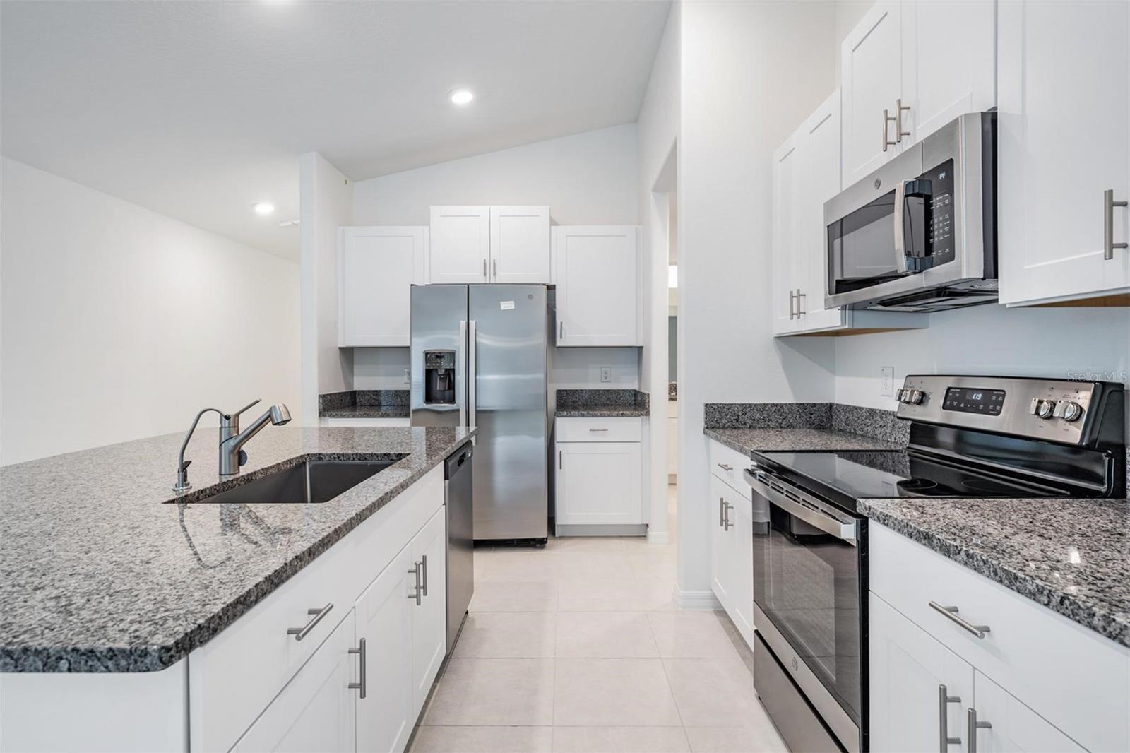 10048 BRANCHING SHIP TRCE, WESLEY CHAPEL, FL, 33545