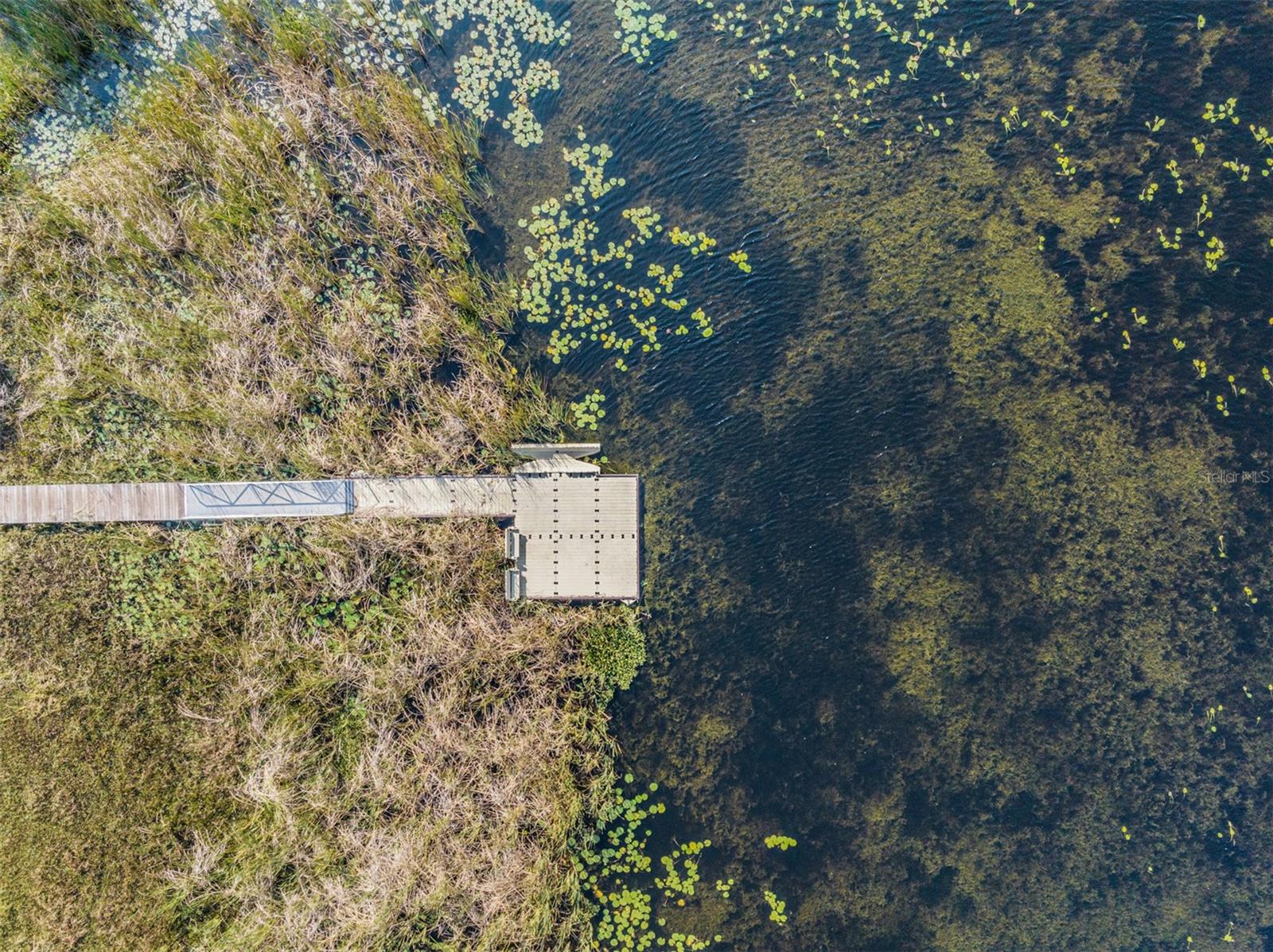 10048 BRANCHING SHIP TRCE, WESLEY CHAPEL, FL, 33545