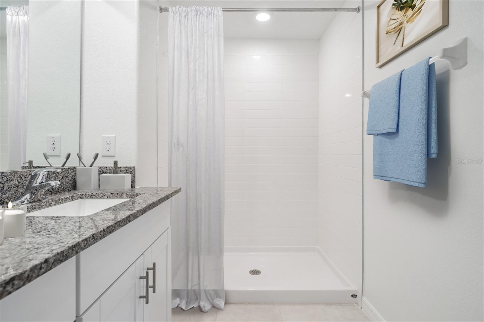 10048 BRANCHING SHIP TRCE, WESLEY CHAPEL, FL, 33545