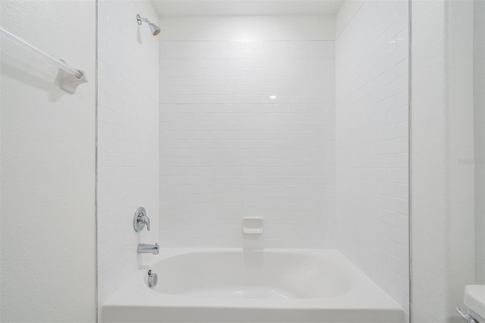 10048 BRANCHING SHIP TRCE, WESLEY CHAPEL, FL, 33545